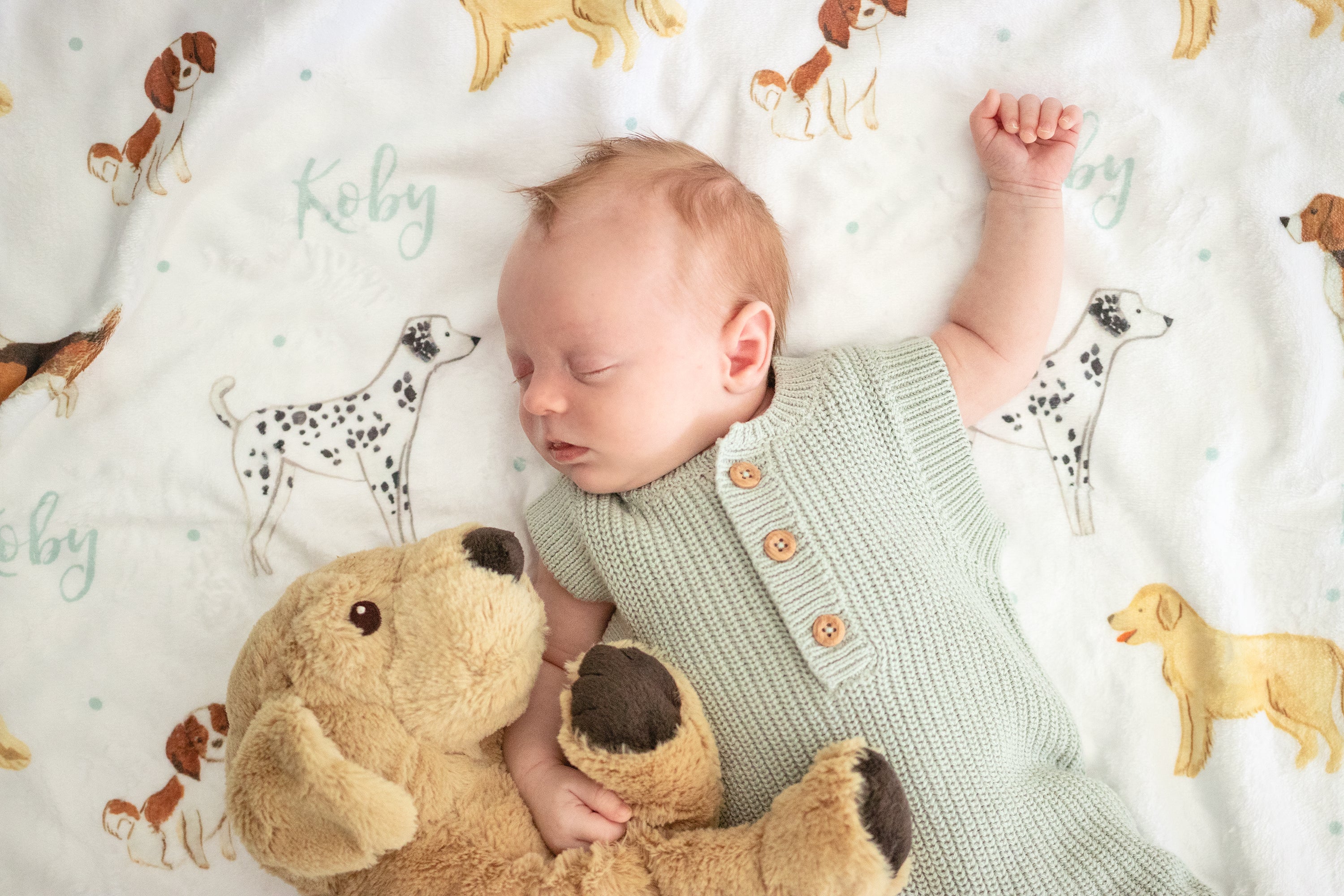 Puppy Dogs - Personalised Keepsake Blanket