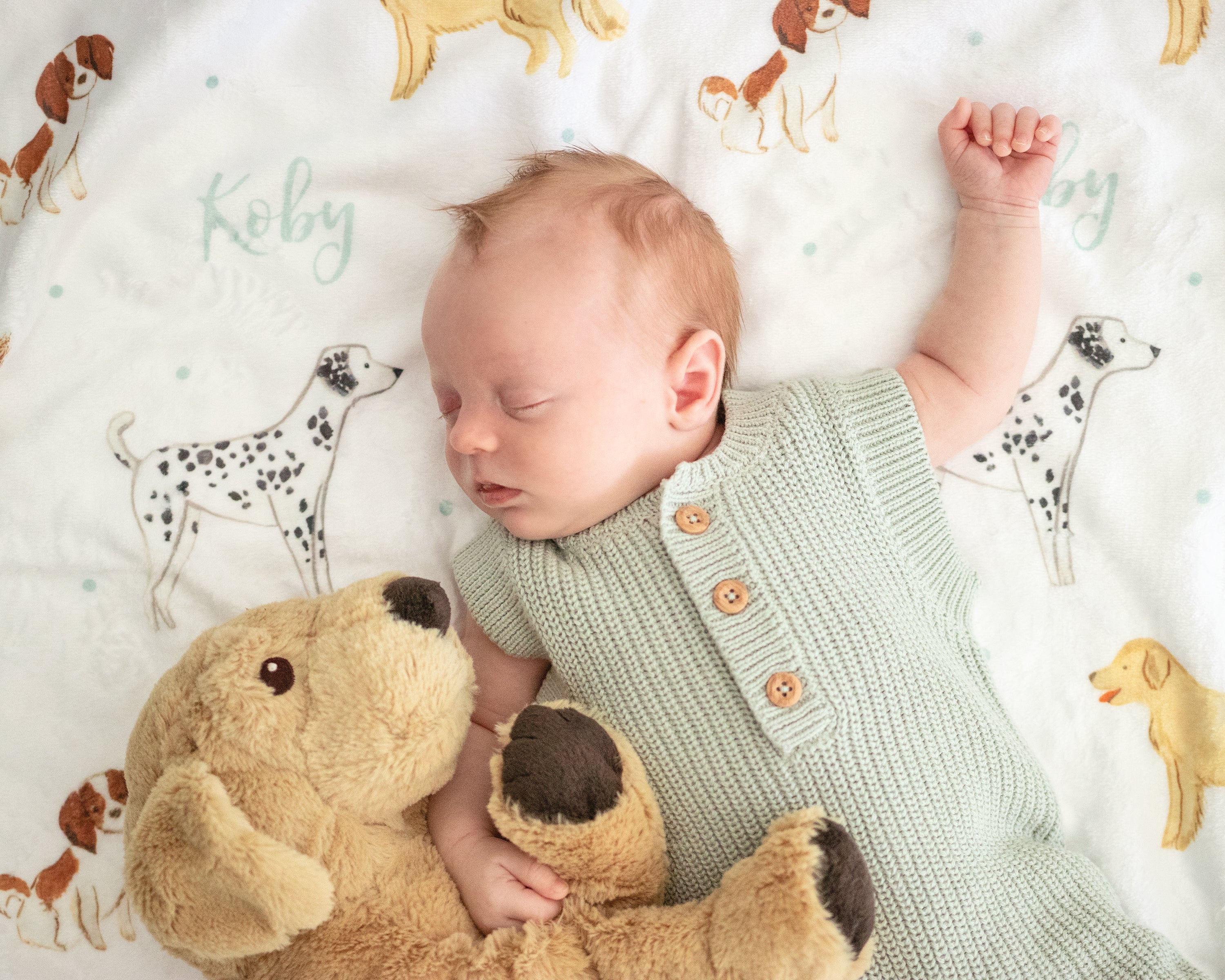 Puppy Dogs - Personalised Keepsake Blanket