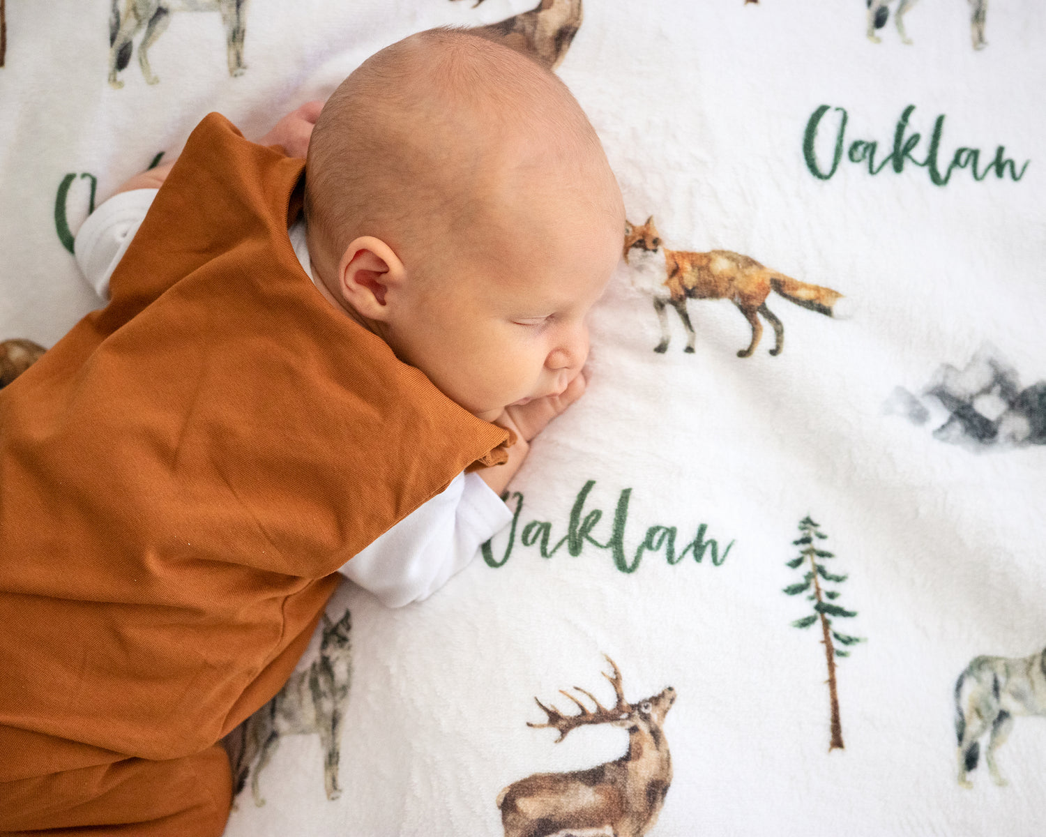 Into The Wild - Personalised Minky Blankets
